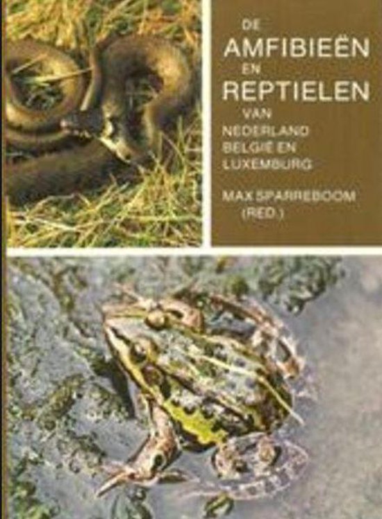 Amfibieen En Reptielen Ned Belgie Luxemb - Onbekend