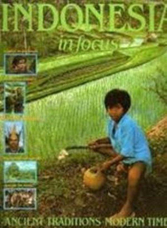 Indonesia in Focus - Peter Homan, Reimar Schefold