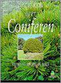 Over Coniferen - Wim Oudshoorn, Henk Pel