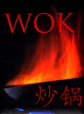Wok - Jolanda te Lindert
