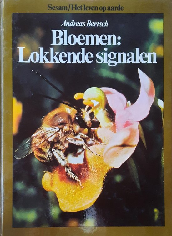 2. Bloemen: lokkende signalen - Andreas Bertsch