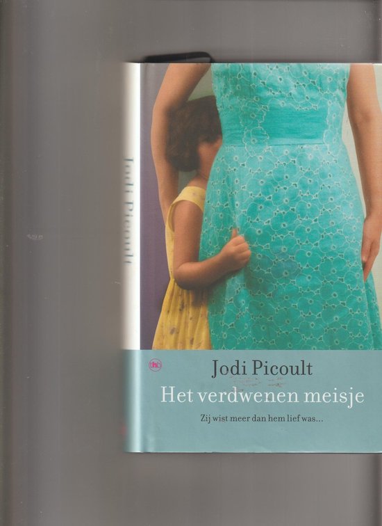 Het verdwenen meisje - Jodi Picoult