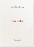 anéantir - Michel Houellebecq
