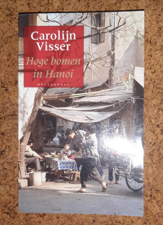 Hoge bomen in Hanoi - Carolijn Visser