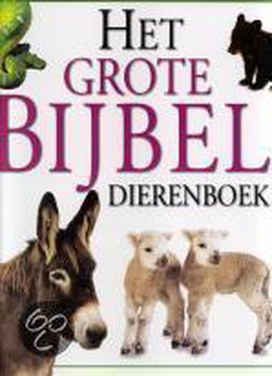 Het Grote Bijbel Dierenboek - Jane Yorke