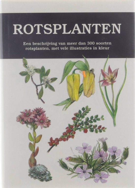 Rotsplanten - P. Vasek