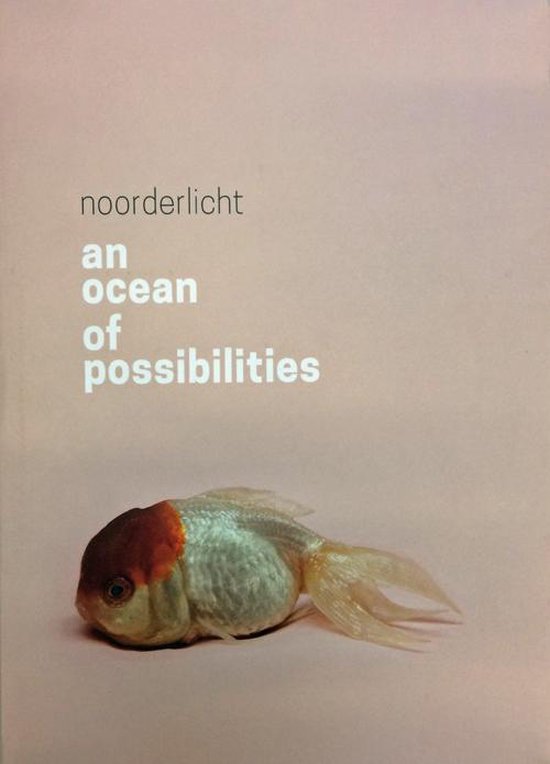 An ocean of possibilities - Hester Keijser, Bert Platzer