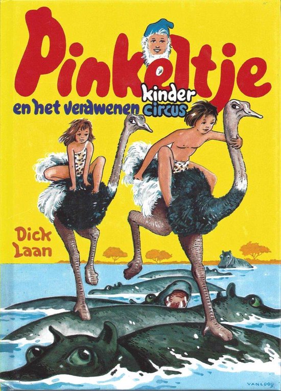 Pinkeltje en het verdwenen kindercircus - Dick Laan