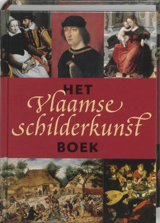 Het Vlaamse schilderkunst boek - D.H. van Wegen