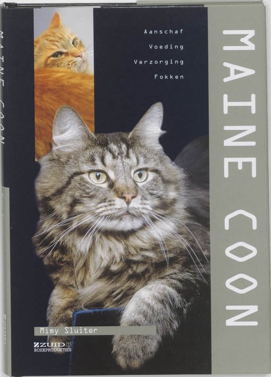 Maine Coon - M. Sluiter
