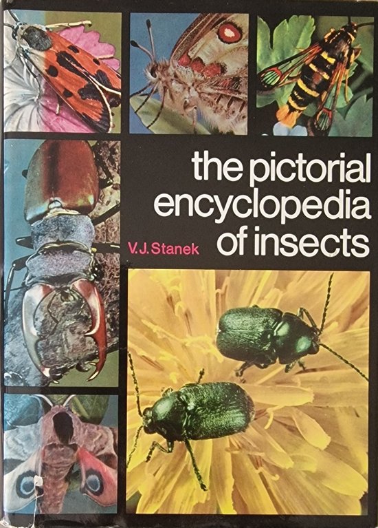 The pictorial encyclopedia of insects - V.J. Stanek