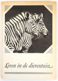 Leven in de dierentuin - Vitrus B. Droscher