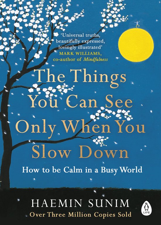 The Things You Can See Only When You Slow Down - Haemin Sunim, Katy Spiegel