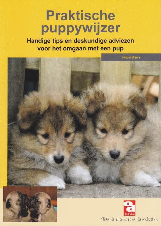 Over Dieren - Praktische puppywijzer - Over Dieren, Karen Wolters