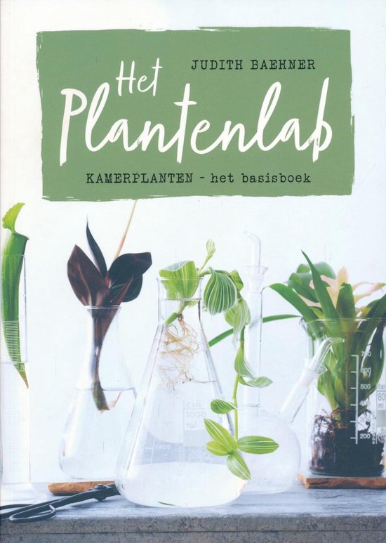 Plantenlab - Judith Baehner