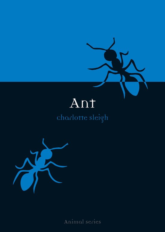 Ant - Charlotte Sleigh