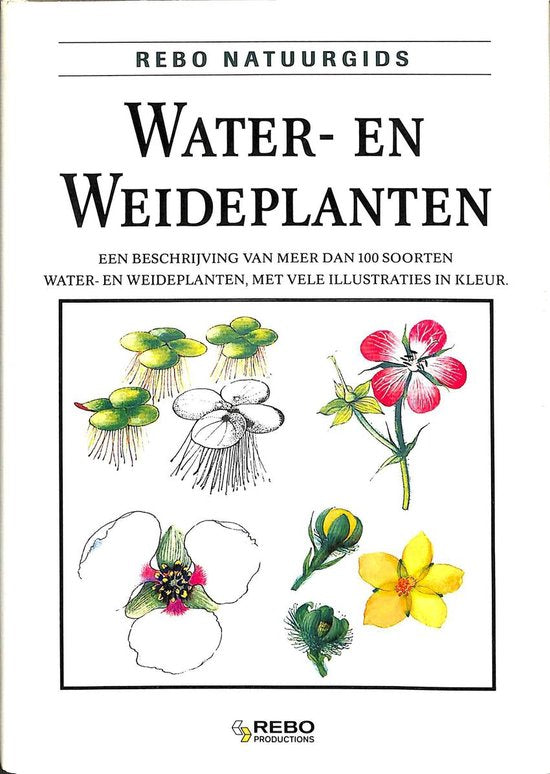 WATER - EN WEIDEPLANTEN - NATUURGIDS - KOLEKTIV