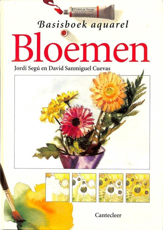 Basisboek aquarel Bloemen - Jordi Segú en David Sanmiguel Cuevas, Jordi Segu