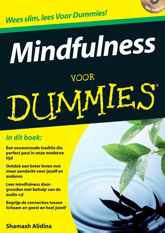 Voor Dummies - Mindfulness voor Dummies - Shamash Alidina