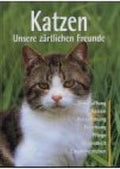 Katzen | - Antje Breuer