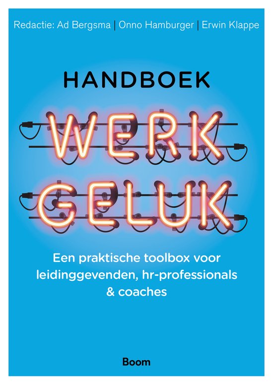 Handboek werkgeluk - Ad Bergsma, Onno Hamburger