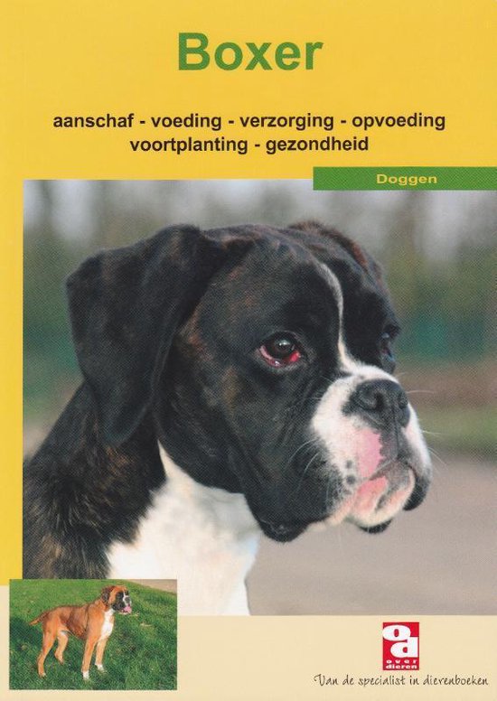 Over Dieren 64 - Boxer - Onbekend