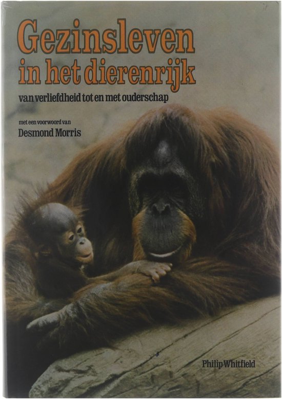 Gezinsleven in het dierenrijk - Philip Whitfield, Richard Orr