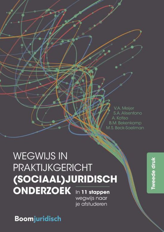Wegwijs in praktijkgericht (sociaal)juridisch onderzoek - V.A. Meijer, S.A. Alisentono
