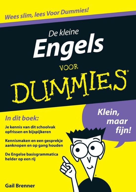 Voor Dummies - De kleine Engels voor Dummies - Gail Brenner