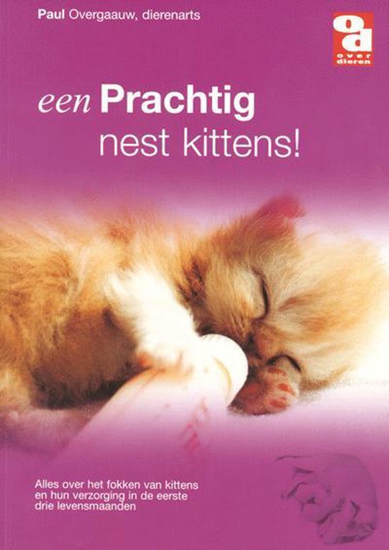 Prachtig Nest Kittens - P. Overgaauw