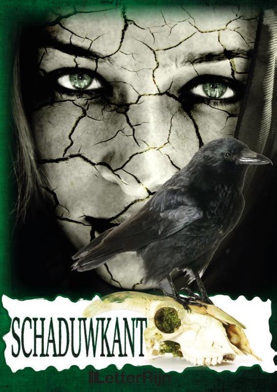 Schaduwkant - Martin van Dam