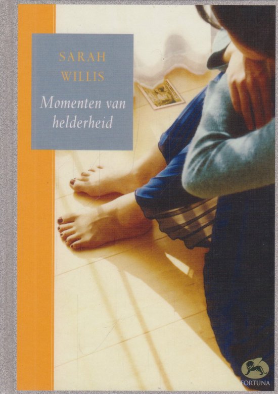 Momenten van helderheid - S. Willis