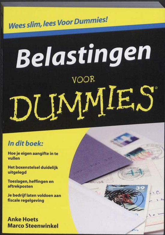 Voor Dummies Belastingen - Anke Hoets, Marco Steenwinkel