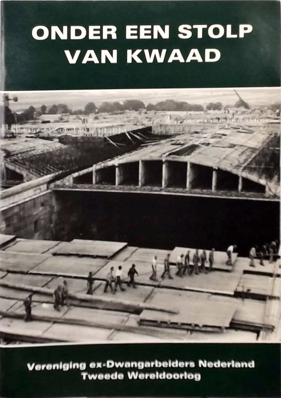 Onder een stolp van kwaad - J.P. Steevens