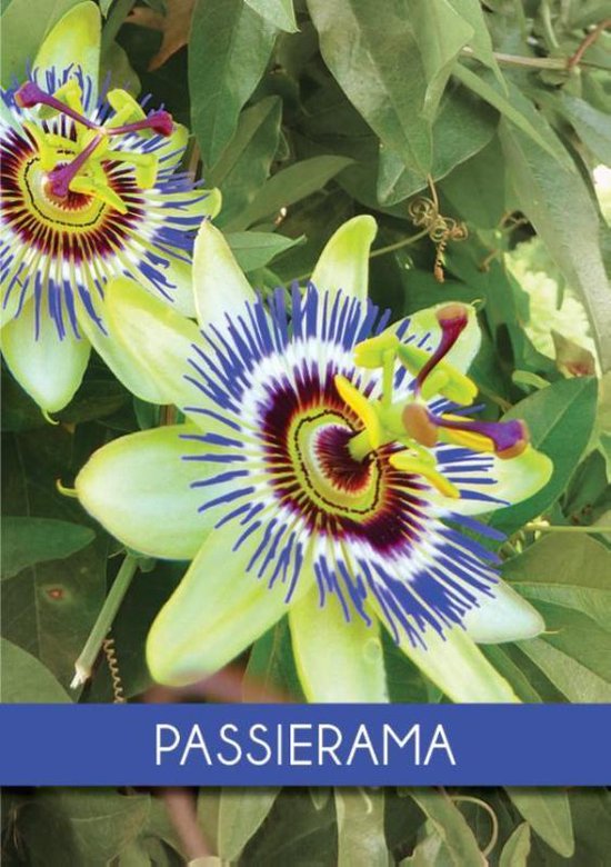 Passierama - Schrijvers Aan de Ijssel