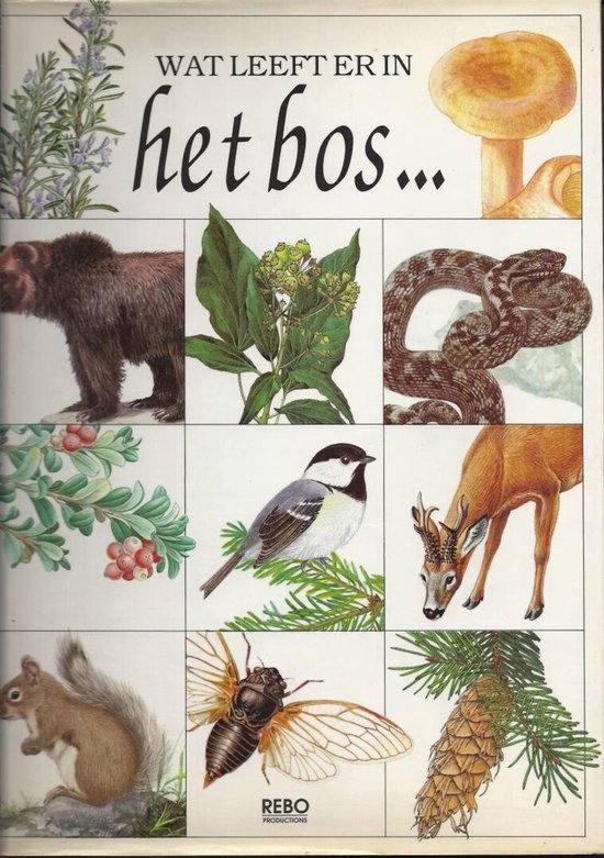 Wat leeft er in het bos - St Astny - St Astny, Ans Smink