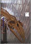 Naturalis - P.E. Spijkerman, Frits de Leeuw
