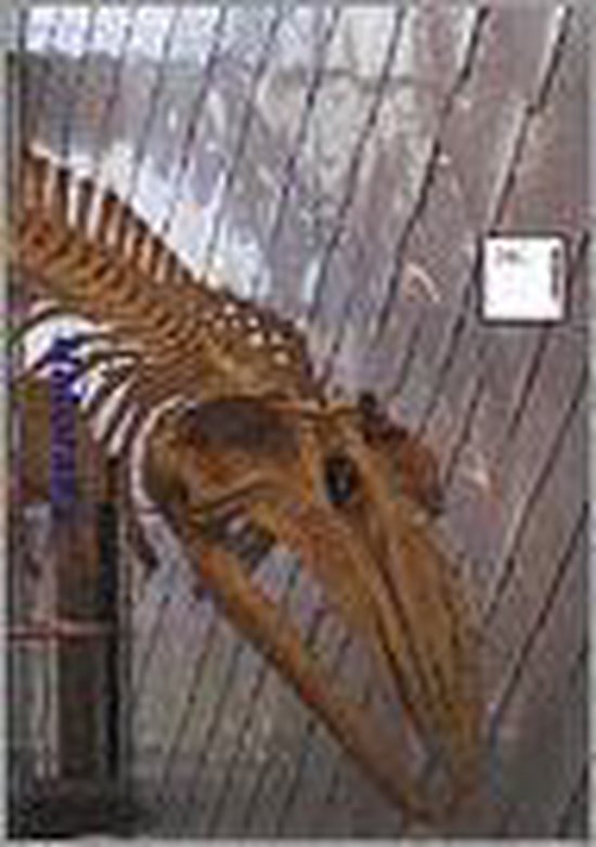 Naturalis - P.E. Spijkerman, Frits de Leeuw
