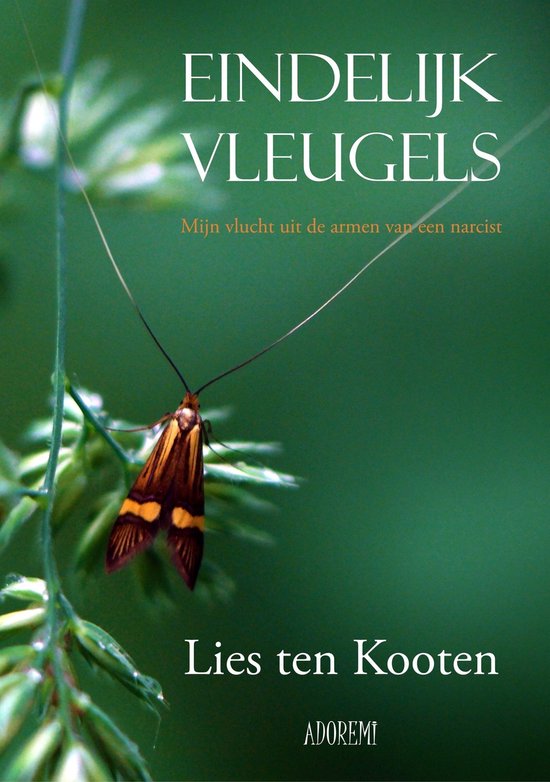 Eindelijk vleugels - Lies ten Kooten