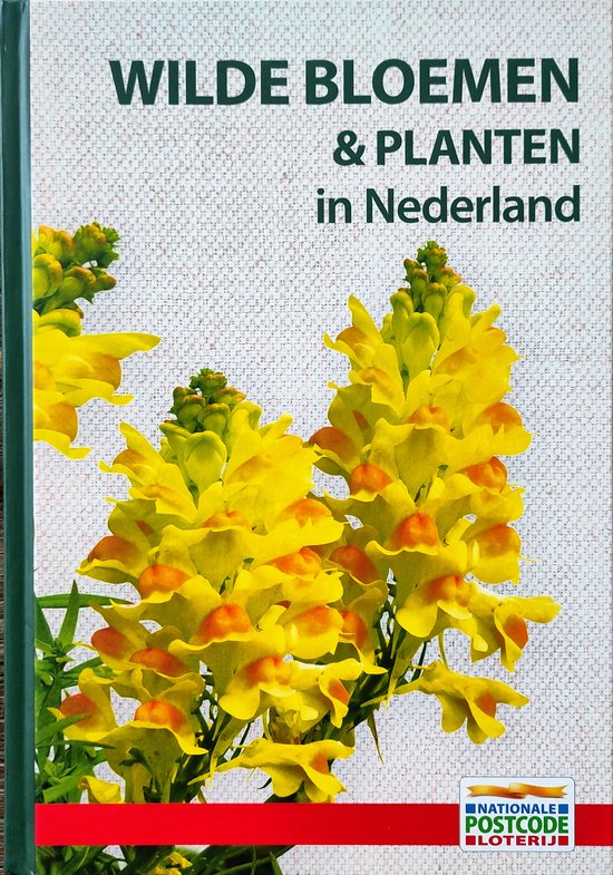 Wilde Bloemen & Planten in Nederland - Neil Fletcher, Dorling Kindersley