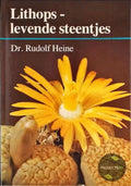 Lithops levende steentjes - Heine