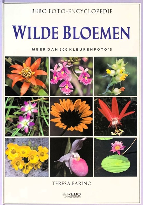WILDE BLOEMEN - Teresa Farino, Anita Middel
