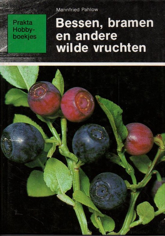 Bessen bramen en andere wilde vruchten - Manfried Pahlow