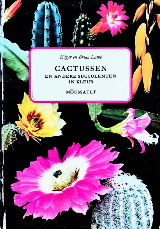 Cactussen en andere succulenten in kleur - Edgar Lamb