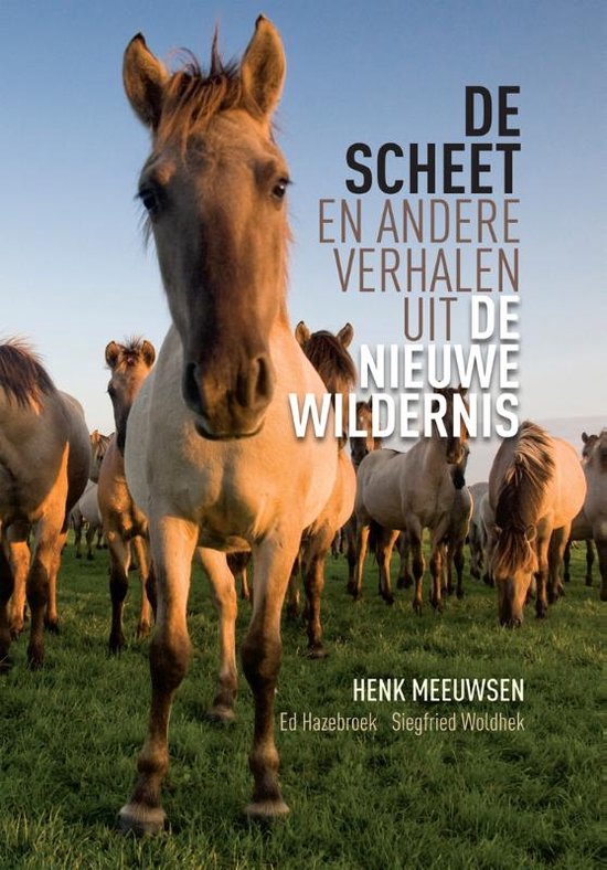 De scheet - Henk Meeuwsen