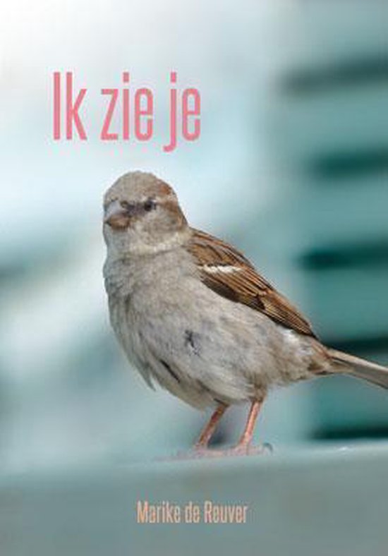 Ik zie je - Marike de Reuver