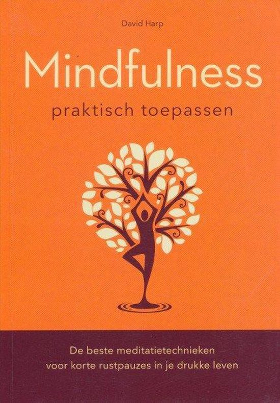 Mindfulness Praktisch Toepassen - David Harp
