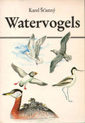 Watervogels - Karel Šta̓stný, Onbekend