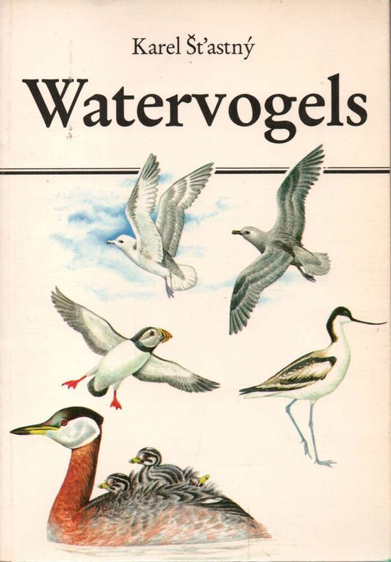 Watervogels - Karel Šta̓stný, Onbekend