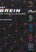 Het brein - A. Bergsma